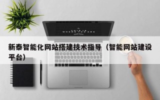 阳谷新泰智能化网站搭建技术指导（智能网站建设平台）